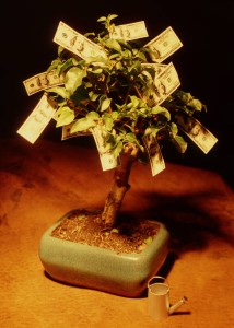 money_tree