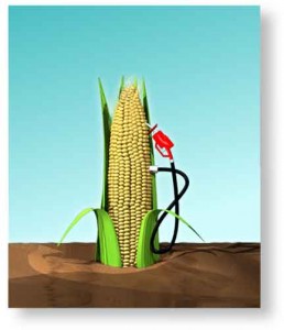 ethanol_corn-pump